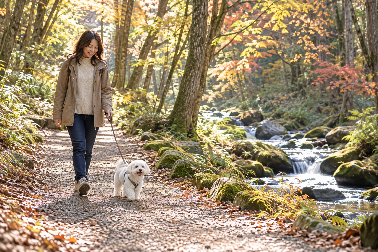 愛犬の歩く速さに合わせて散歩の時間を楽しむの実写風AI生成イメージ